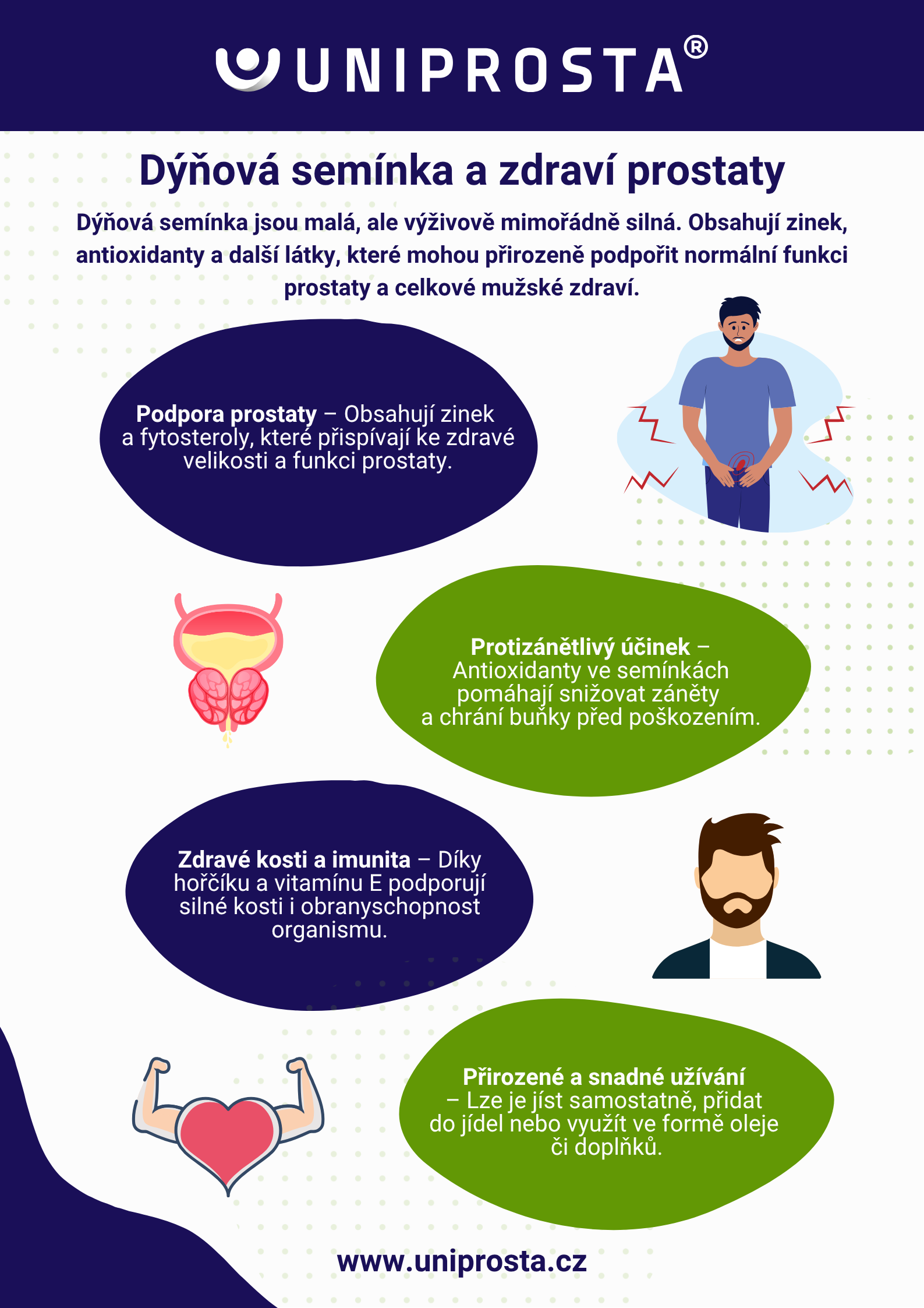 Infografika: Hogyan támogatja a tökmag a prosztata egészségét?